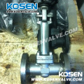 Cast Steel Lcb Cryogenic Globe Valves